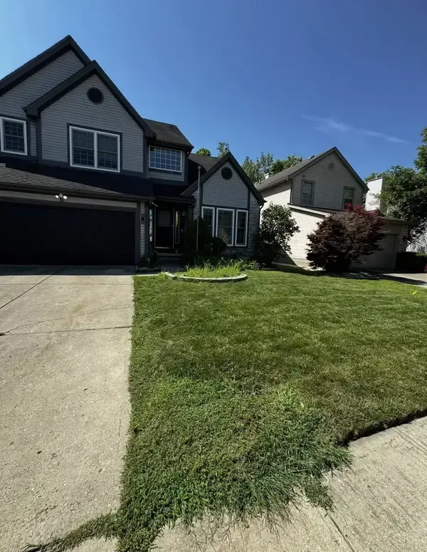 Fresh sod installation in Columbus Ohio