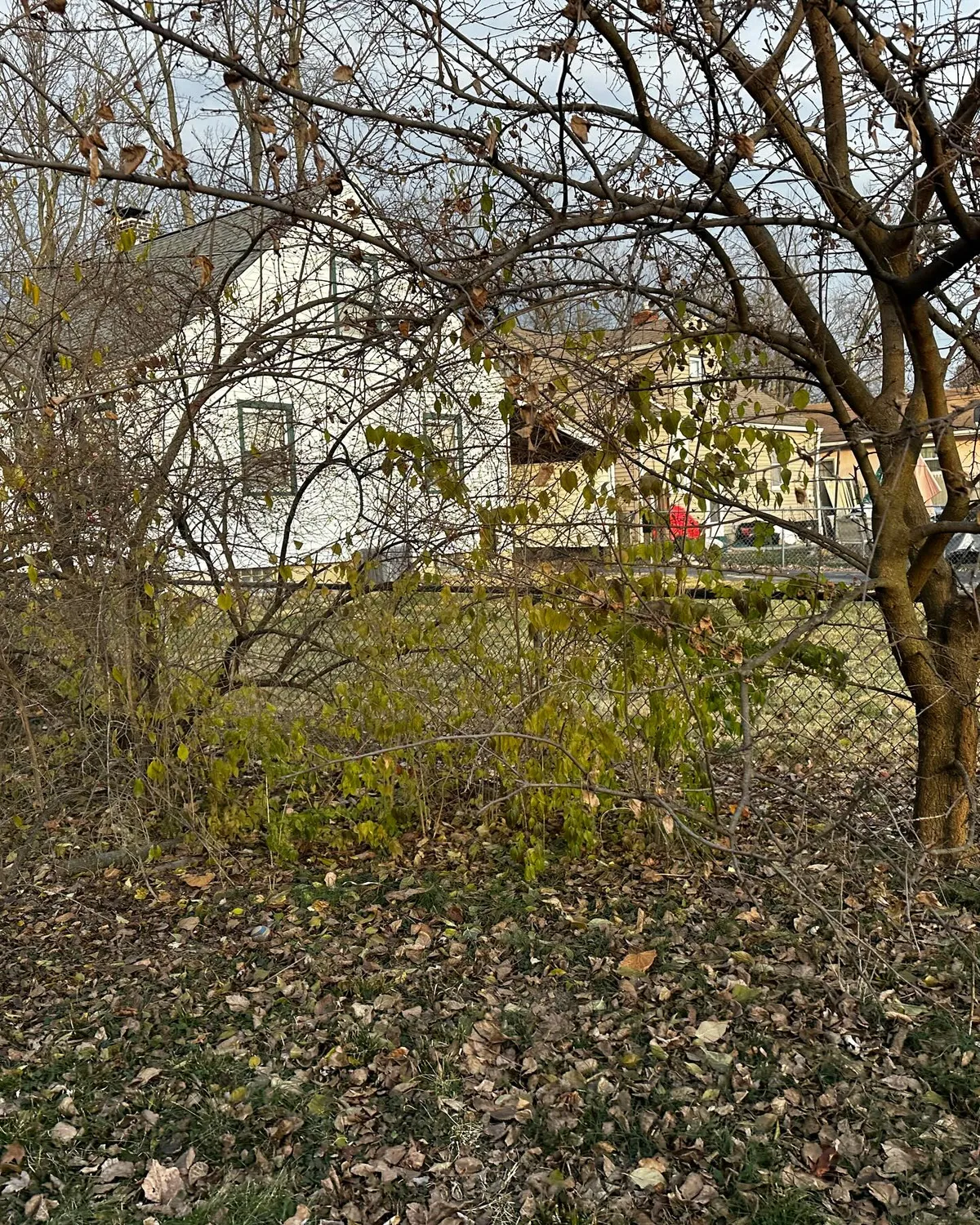 Fresh black mulch flower beds, Columbus OH by Iron Edge Outdoor