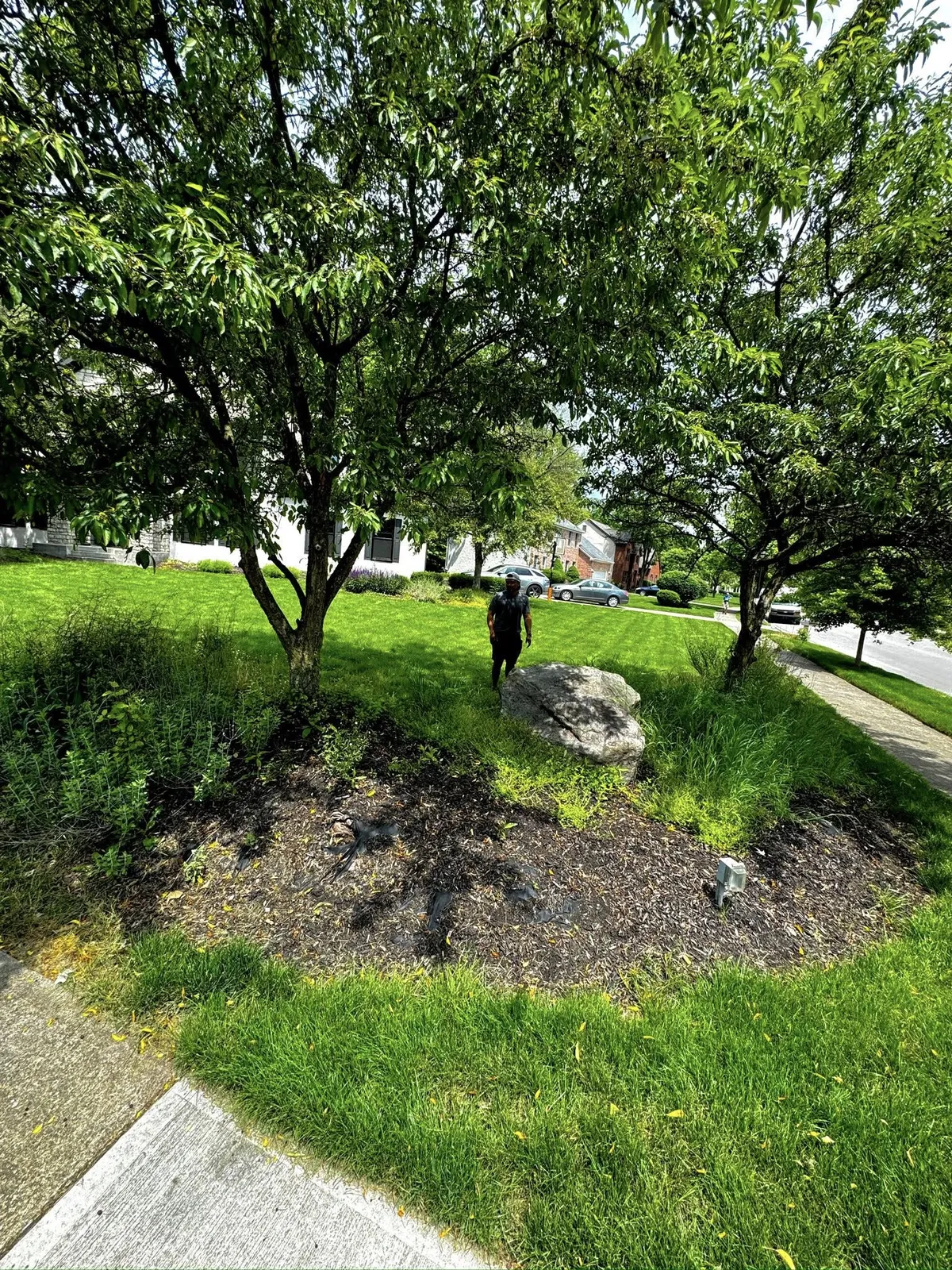 Mulch beds with plantings, Columbus OH by Iron Edge Outdoor